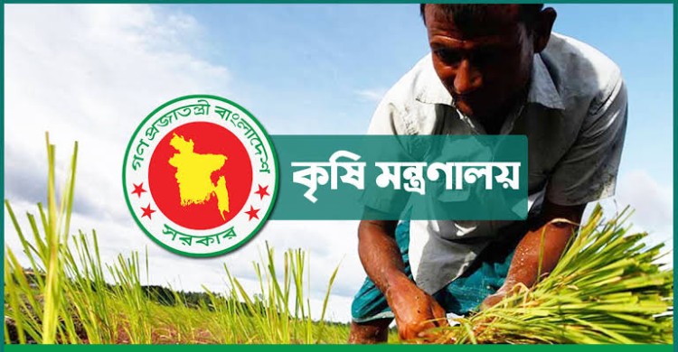 ২৭ লাখ কৃষককে বিনামূল্যে সার-বীজ দেবে সরকার