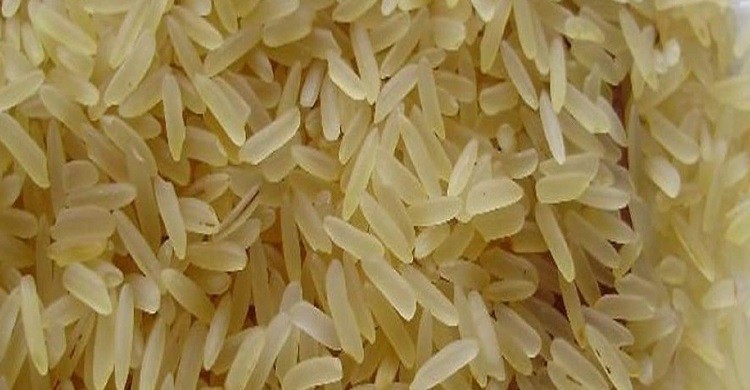চালের উৎপাদন ৪ গুণ বৃদ্ধির দাবি কৃষিমন্ত্রীর