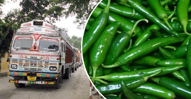 ভারত থেকে এলো ৬০ টন কাঁচা মরিচ