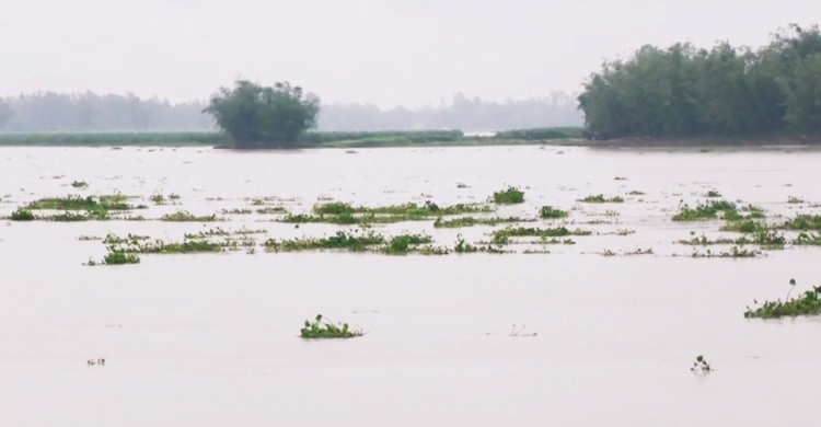 কুড়িগ্রামে নদীর পানি বৃদ্ধি, ১৫ হাজার মানুষ পানিবন্দি