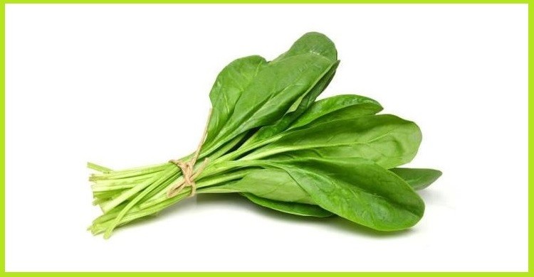 যে কারণে পালং শাক খাওয়া জরুরি