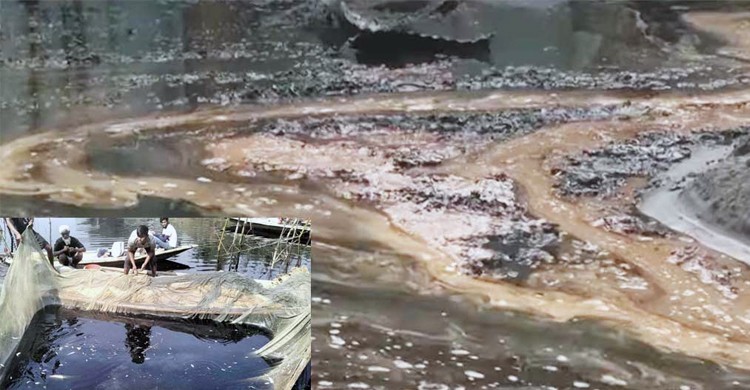 চিনি কলের বিষাক্ত কেমিক্যালে মরছে নদীর মাছ