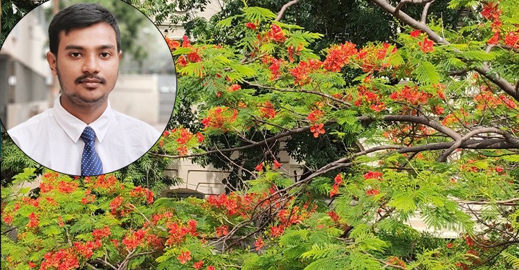 ছবিঃ সংগৃহীত