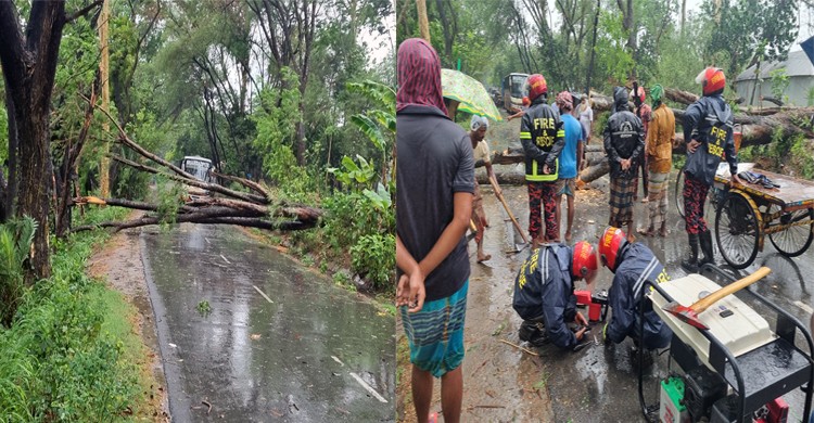 ঘূর্ণিঝড় রিমালের প্রভাবে পাবনায় ঝড়ো বাতাস, বৃষ্টি, গাছপালা ভেঙে যান চলাচল ব্যাহত
