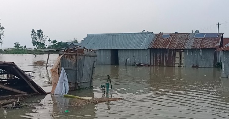 গাইবান্ধায় তিস্তার পানি বিপৎসীমার উপরে