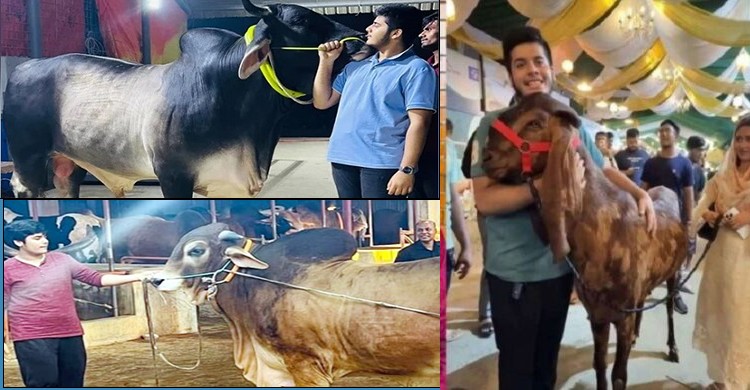 খানদানি বংশীয় গরু ছাগলের নামে সাদিক এগ্রোর ভয়ানক প্রতারণা