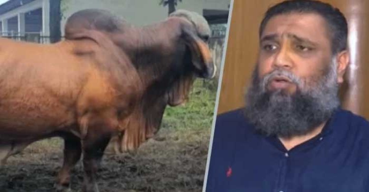 উচ্ছেদ হচ্ছে আলোচিত সেই সাদেক এগ্রো