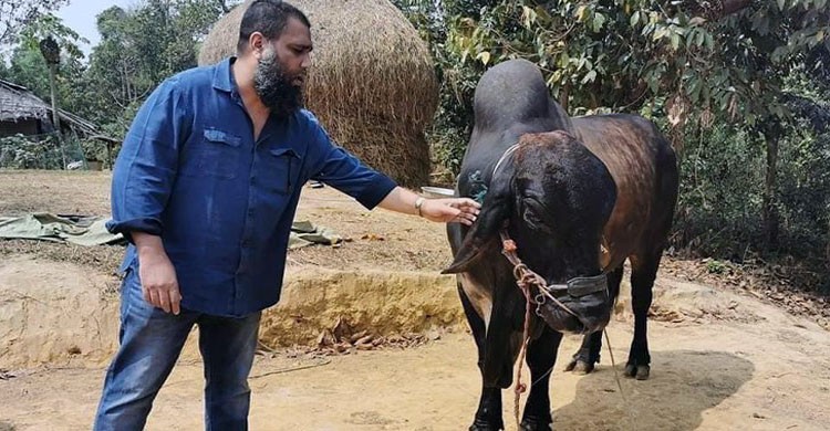 খানদানি বাটপার ইমরান, রমজানে দুস্থদের গোস্ত বিক্রির টাকাও জমা দেন নি