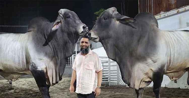সাদিক এগ্রোর ইমরানসহ  প্রাণিসম্পদের  সাত কর্মকর্তার নামে দুদকের মামলা