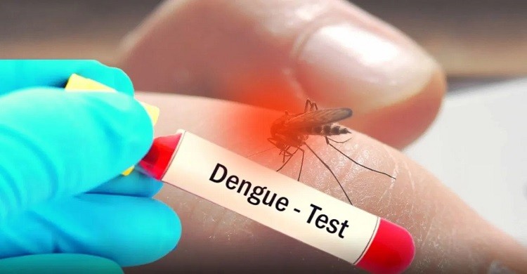 ডেঙ্গু: মৃত্যু ৬, হাসপাতালে ১২৪৮
