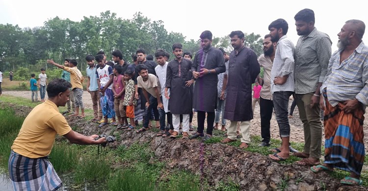 পলাশে ব্যাটারি ফ্যাক্টরির কারণে নষ্ট ফসলি জমি