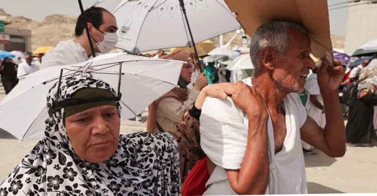 ছবিঃ সংগৃহীত