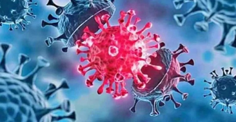 ছবিঃ সংগৃহীত