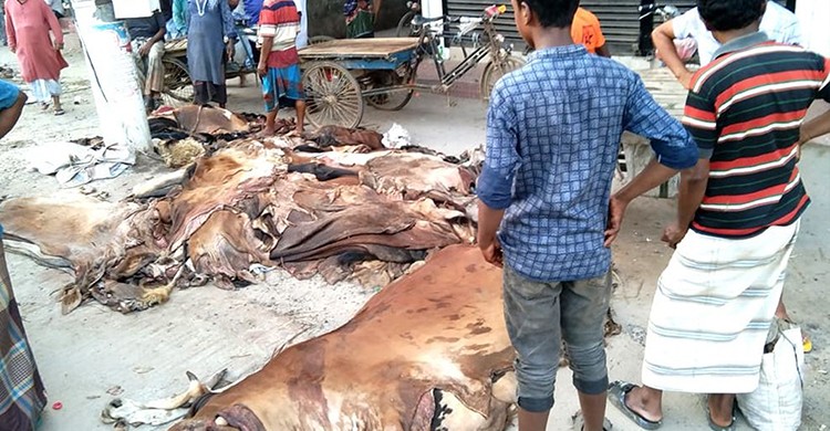 ছবিঃ সংগৃহীত