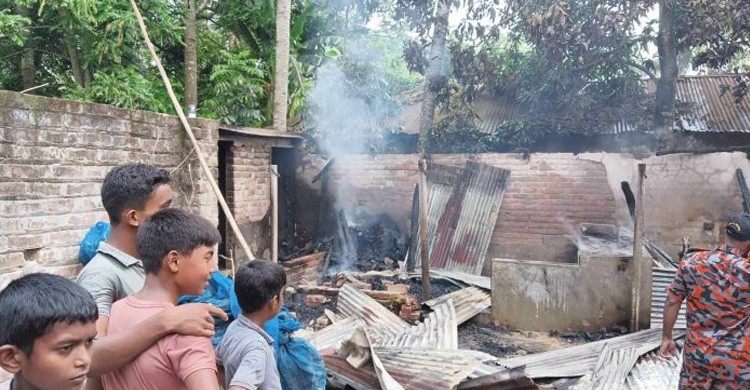 ছবিঃ সংগৃহীত