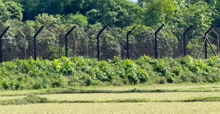 ফেনী সীমান্তে বিএসএফের গুলিতে বাংলাদেশি নিহত, আহত আরও একজন