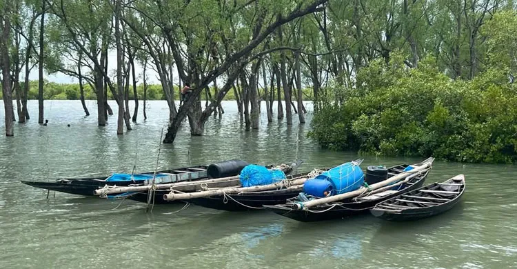 ক্ষুধার যন্ত্রণায় নিষেধাজ্ঞা মানছে না সুন্দরবনের বনজীবীরা