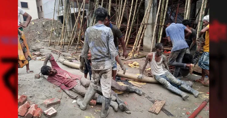 ছবিঃ সংগৃহীত
