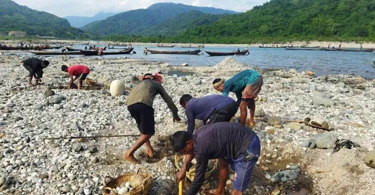 সিলেটের সাদাপাথর এখন ধু-ধু মরুভূমি