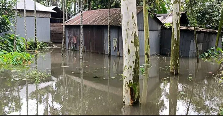তৃতীয় দফা বন্যায় তিস্তা তীরের হাজারো মানুষ পানিবন্দি
