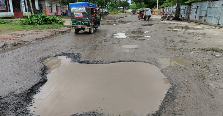ছবিঃ সংগৃহীত