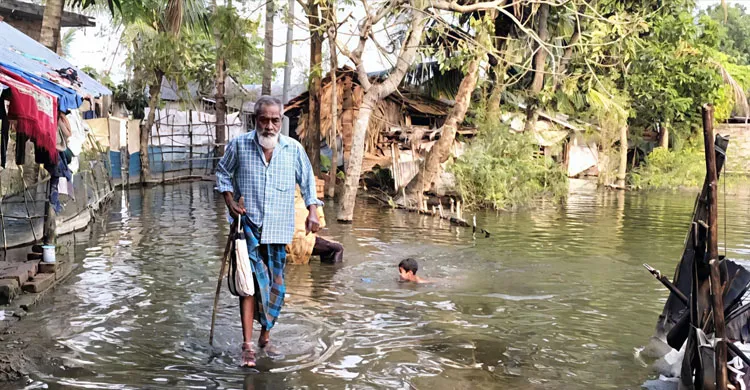 সাতক্ষীরায় জলাবদ্ধতার প্রধান কারণ অপরিকল্পিত মৎস্য ঘের