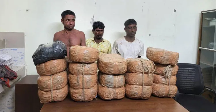 কিশোরগঞ্জের নিকলীতে ৩৬ কেজি গাঁজাসহ তিন কারবারি আটক
