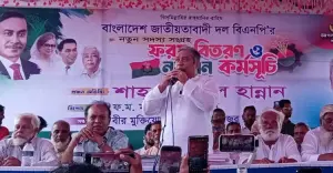 কাপাসিয়ায় বিপুল উৎসাহ উদ্দীপনায় বিএনপির সদস্য নবায়ন কর্মসূচি পালিত
