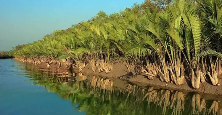 তিন মাস বন্ধের পর সোমবার খুলছে সুন্দরবন
