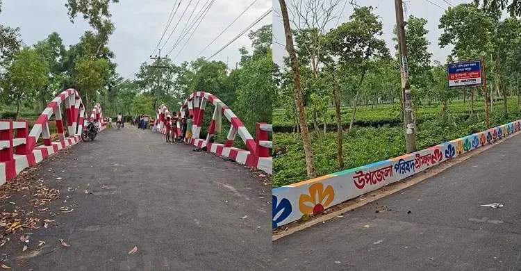 ছবিঃ সংগৃহীত