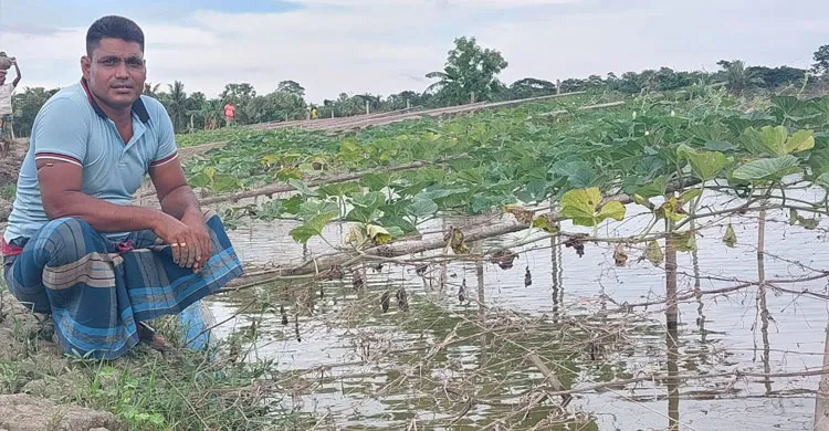 সাতক্ষীরা তালায় ঘেরের আইলে সবজি চাষ, কৃষিতে সম্ভাবনার হাতছানি