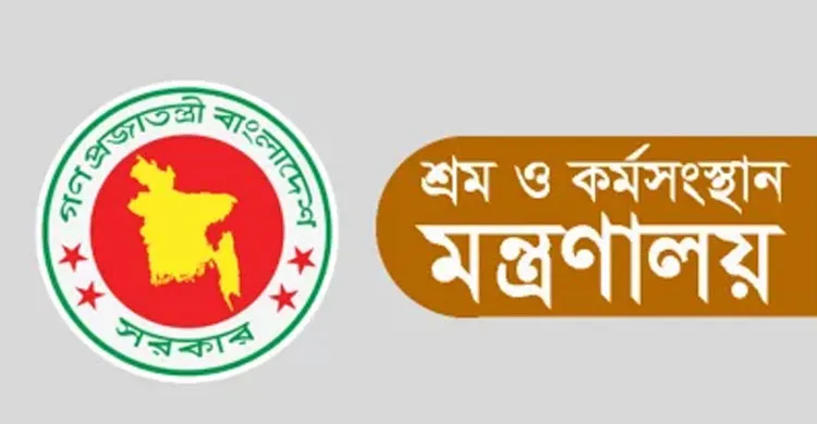 টিএনজেড, রোর ফ্যাশন ও ডার্ড গ্রুপের মালিকদের রেড নোটিশ জারির উদ্যোগ