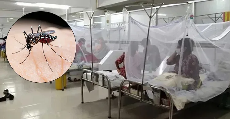 ডেঙ্গুতে আরও ২ জনের মৃত্যু, নতুন করে হাসপাতালে ভর্তি ৩৬৪