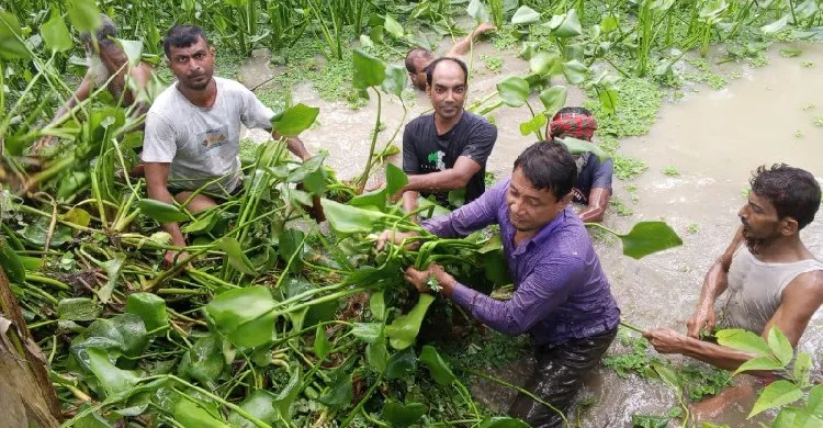 ছবিঃ সংগৃহীত
