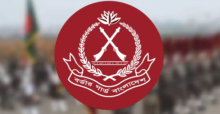 বিজিবি’র অভিযানে আগস্টে ১৭৭ কোটি টাকার চোরাচালান পণ্যসামগ্রী জব্দ
