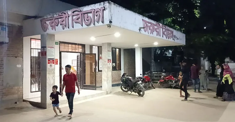 নরসিংদীতে টিউবওয়েলের পানি প্রবাহকে কেন্দ্র করে দুই ভাইকে কুপিয়ে হত্যা
