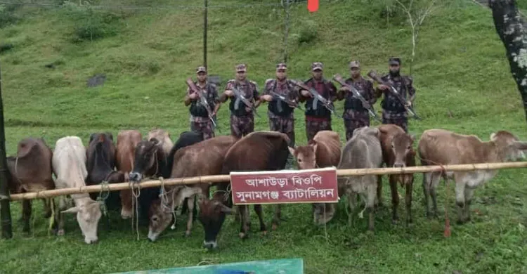 ছবিঃ সংগৃহীত