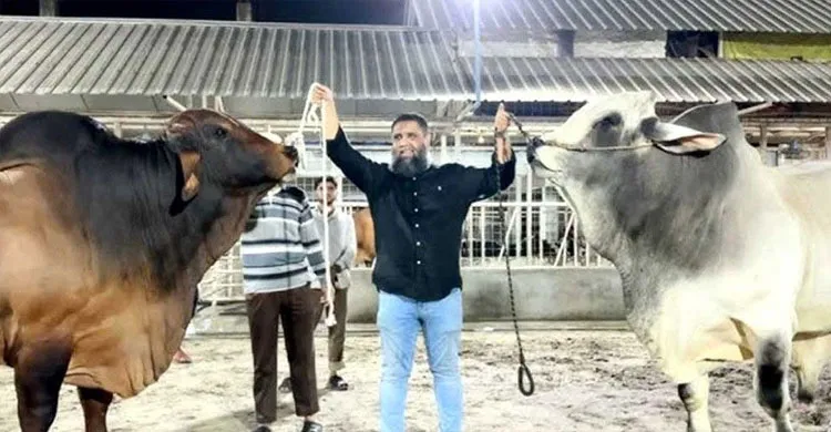 ছবিঃ সংগৃহীত