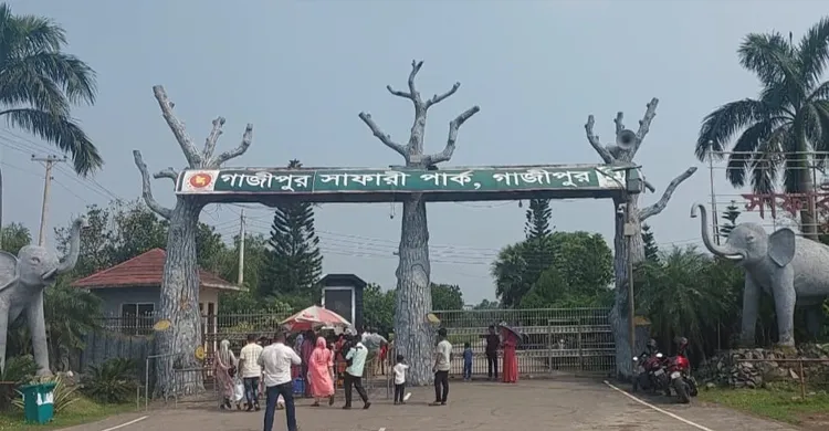 গাজীপুর সাফারি পার্কে শেষ জিরাফের মৃত্যু