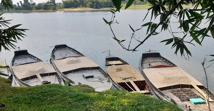 ছবিঃ সংগৃহীত