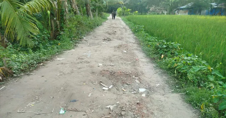 কমলনগরে ৪০ বছর ধরে পাকা রাস্তার অপেক্ষায় এক গ্রামের ২০ হাজার মানুষ