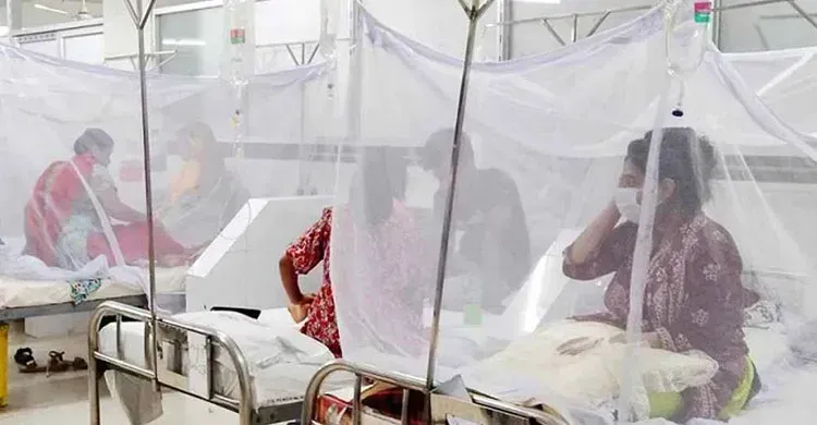 ডেঙ্গুতে আরও দুইজনের মৃত্যু, নতুন করে ৯৬৪ জন আক্রান্ত