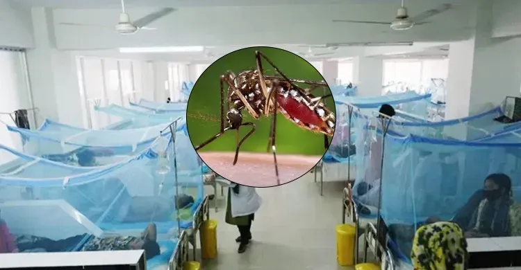 ২৪ ঘণ্টায় ডেঙ্গুতে আরও ৩ জনের মৃত্যু, হাসপাতালে ভর্তি ৯২৮