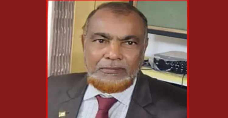 ছবিঃ সংগৃহীত