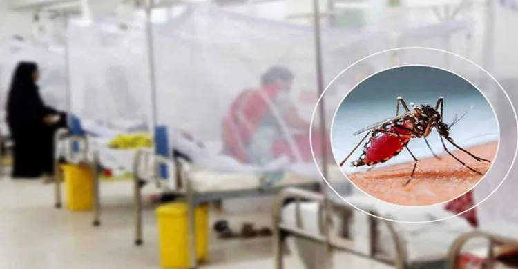 দেশে ডেঙ্গু আক্রান্ত ৭০ হাজার ছাড়িয়েছে