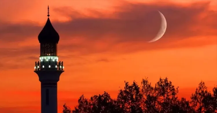 ছবিঃ সংগৃহীত