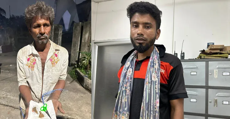 ছবিঃ সংগৃহীত