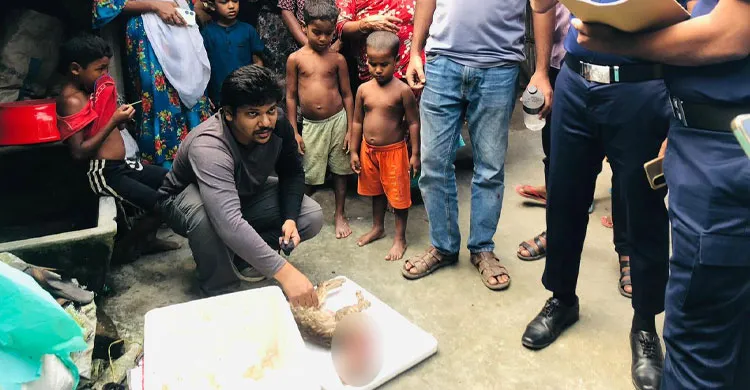 বগুড়ায় বিড়ালকে কুপিয়ে হত্যা থানায় জিডি