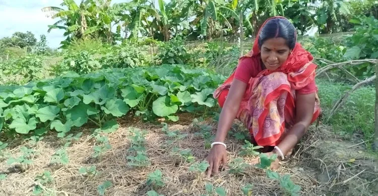 এসডিএফ প্রশিক্ষণেই বদলে গেল সুনিতি রানির জীবনের গল্প
