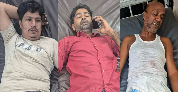 ছবিঃ সংগৃহীত